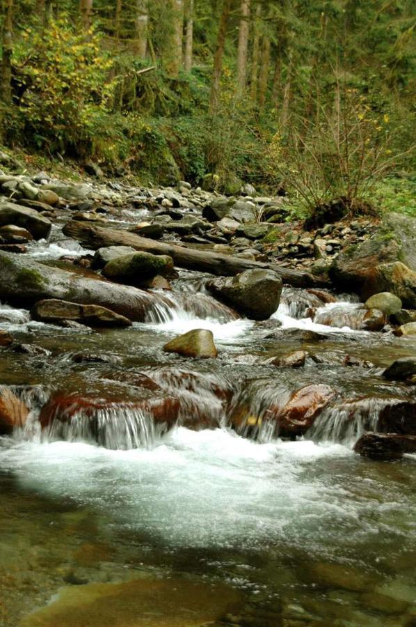 Appartamento Adal-Berht Saint-Maximin  Esterno foto