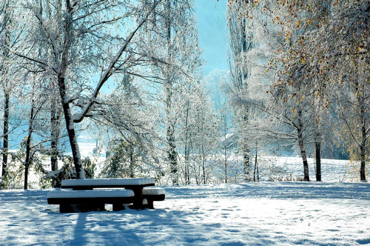 Appartamento Adal-Berht Saint-Maximin  Esterno foto