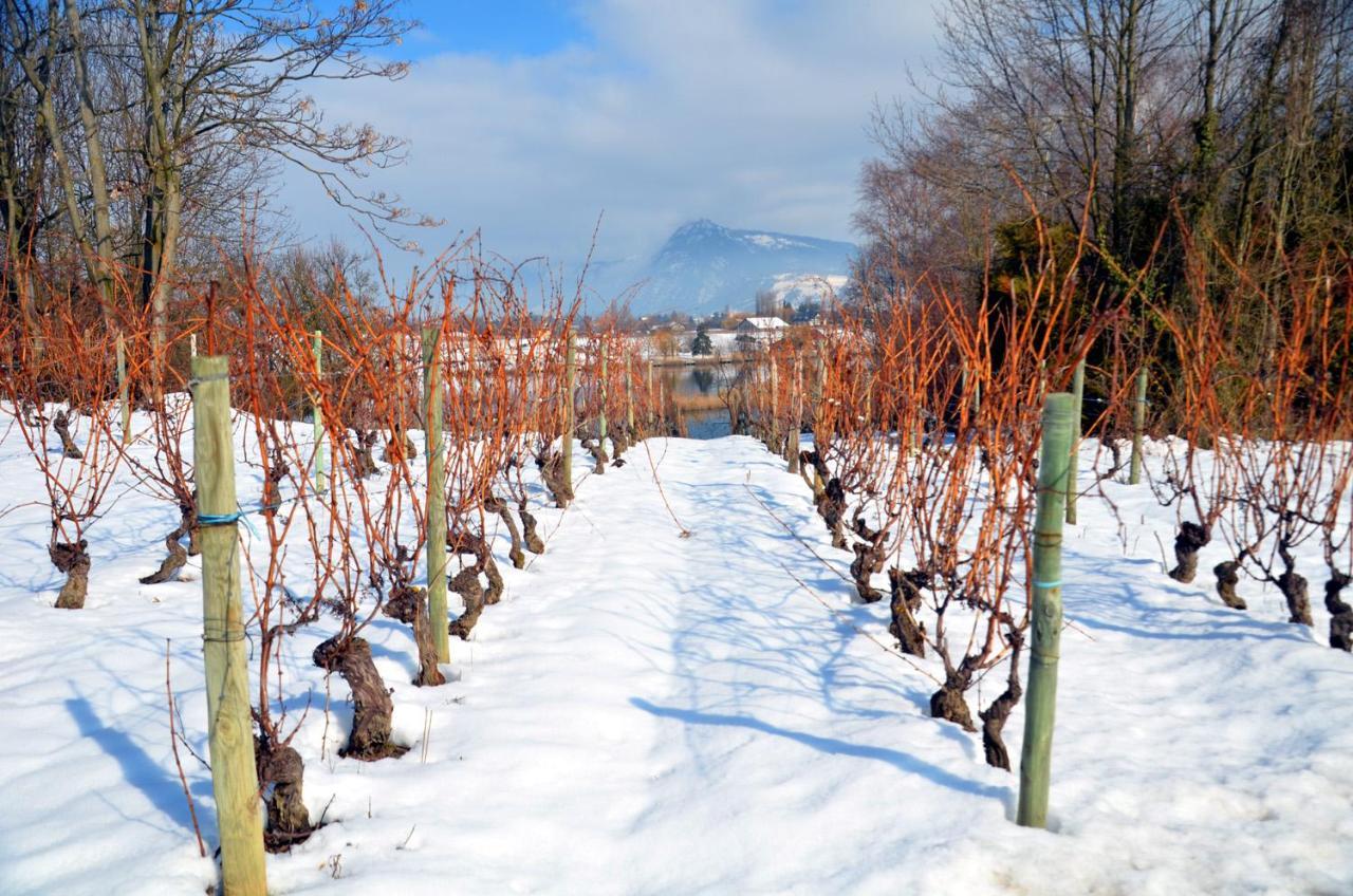 Appartamento Adal-Berht Saint-Maximin  Esterno foto