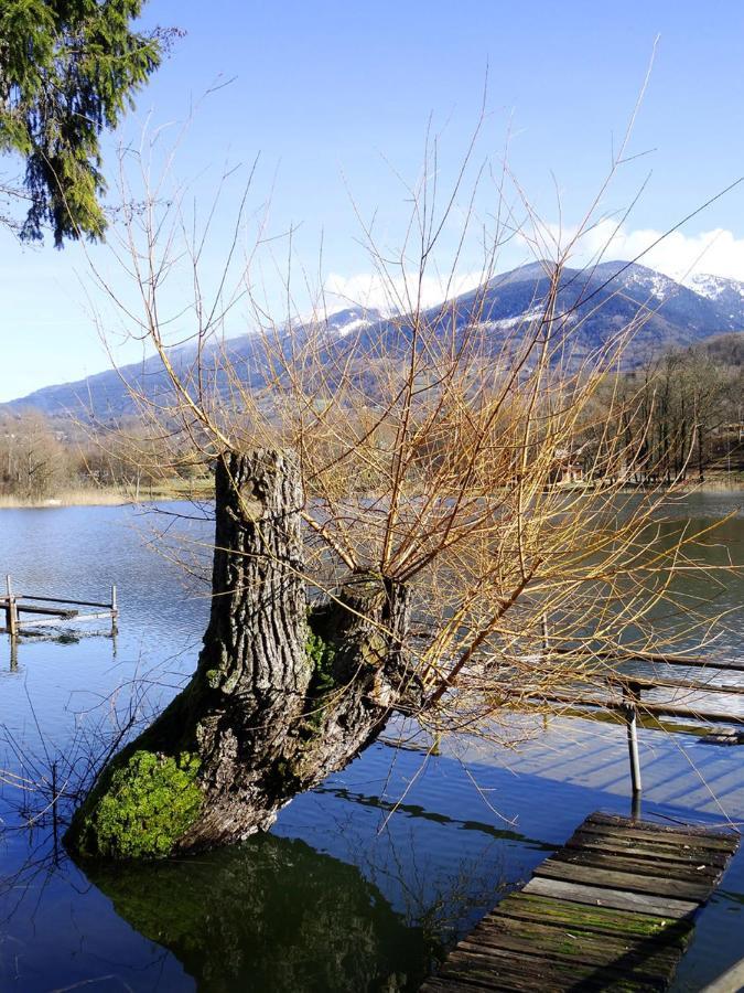 Appartamento Adal-Berht Saint-Maximin  Esterno foto