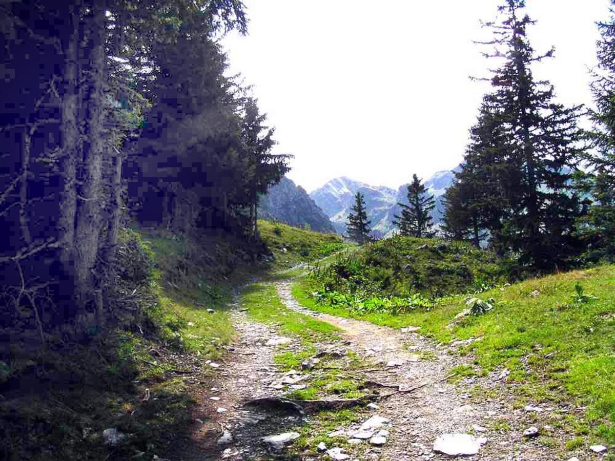 Appartamento Adal-Berht Saint-Maximin  Esterno foto